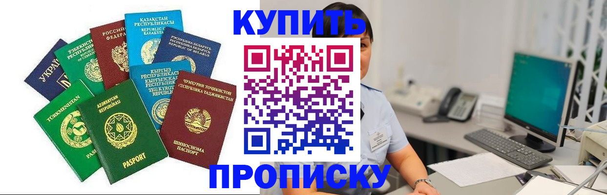 прописка в Бабаево